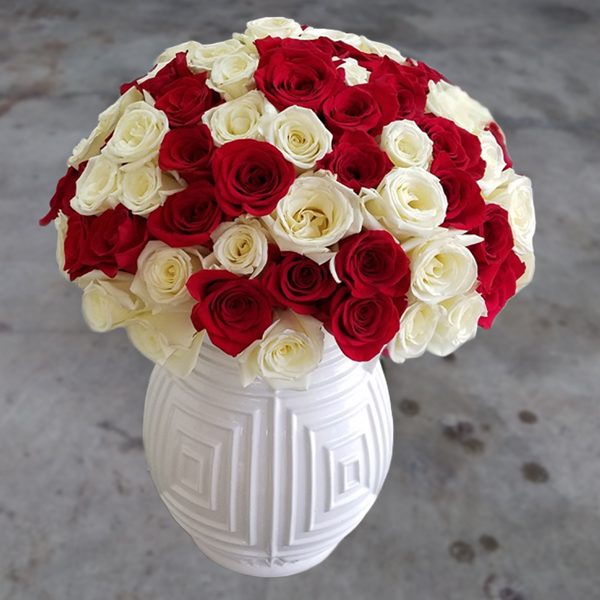 100 mix roses front