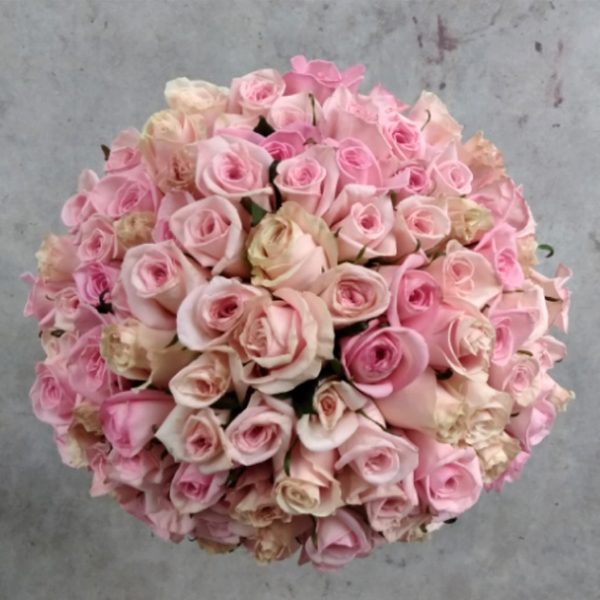 100 pink roses top